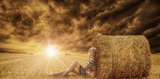 Working with the Solar Logos to Support our Evolutionary Shift to 5D