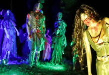 The Roots of Halloween