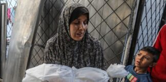 Gaza starves as death toll climbs past 20,000