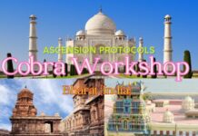 Notes about ASCENSION PROTOCOLS WORKSHOP by COBRA ( India, December 2023) Confindia (1)