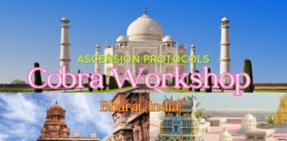 Notes about ASCENSION PROTOCOLS WORKSHOP by COBRA ( India, December 2023) Confindia (1)