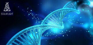 Ascension Connection – Tom Paladino Scalar Wave Healing Follow Up – Jan. 4, 2024