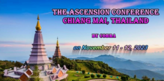 Official reports : Cobra Conference on Ascension in Thailand (2 days, November 2023) chiang-mai