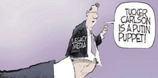 Mike Stone, Gaslighting is the MSM’s Purpose