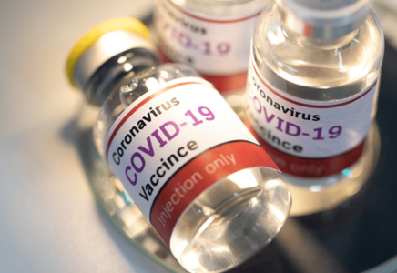 Playboy Model Uncovers Elite Pedophile Ring, Found Dead - Prepare For