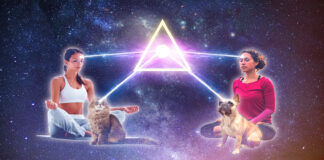 3 Types of Telepathy RS_Featured_Image_ThreeTypesofTelepathy