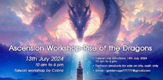 Official Report : Cobra’s Workshop in Taipei/Taiwan “Rise of the Dragons”(13th July 2024) Taiwan-workshop2024