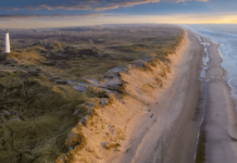 Small, hairy aliens’ used mind control on officials to avoid UFO crash site recovery