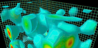 Official synthesis of Cobra’s workshops in Asia “Rise of the Dragons”( July 2024) synthese-asie2024