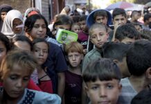 United Nations committee finds Israeli war on Gaza “consistent with genocide”