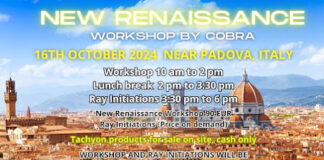 Official Notes : Cobra’s workshop “New Renaissance” ( Padova/Italia, October 2024) New Renaissance