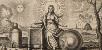 COBRA- 17th November 2024- Planetary Situation( Italy, Aldebarans, Andromedans, Meditations, Doorway 11:11…) SapiensDominabiturAstris