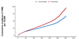 Revealed: The Hidden Pfizer Report That Shows Heart Conditions in the Vaccinated Getting Worse Over Time