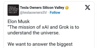 COBRA-23rd February 2025-Official Notes workshop “Portal 2025” Phoenix USA(February 2025)+Planetary Situation Musk Aliens