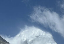 Cobra-25th May 2025-“Positive Templars”(Wesak 2025, 4 Synthesis of the 4 workshops”Wesak Activation+Portal 2025”, Interview Cobra/PFC Japan, Positive Templars, Grail bloodline…)