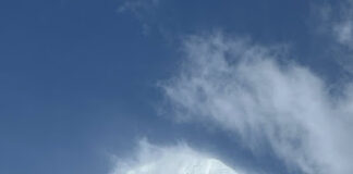 Cobra-25th May 2025-“Positive Templars”(Wesak 2025, 4 Synthesis of the 4 workshops”Wesak Activation+Portal 2025”, Interview Cobra/PFC Japan, Positive Templars, Grail bloodline…)