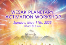 Official Synthesis: “WESAK PLANETARY ACTIVATION” Cobra WORKSHOP in Taipei 11th May 2025(Emerald Light, Ascension, the Event, group Ceremony, energies/Portal 2025…)