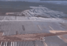 The climate change cult is planning to uproot thousands of ancient olive trees in Spain and replace them with solar panels