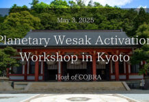 Official notes: “Planetary Wesak Activation” Cobra Workshop in Kyoto 3rd May 2025(Planetary Situation, Wesak, Holy Grail, Emerald Ray/Light, Stellar families, Order/Brotherhood of the Star…)
