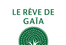 A Living Answer for Those Who Know the Shift Is Real