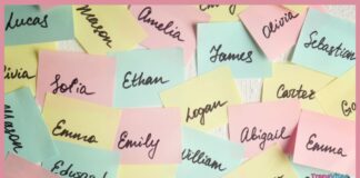 What’s in a Name: The Connection to Our Personality and Life Path