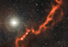 Awakening the Starseed Within – A Message From the Stars