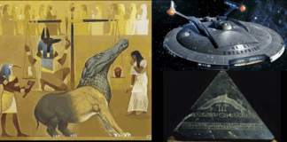 The Meek Shall Inherit the Earth, and Explore the Stars