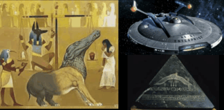 The Meek Shall Inherit the Earth, and Explore the Stars