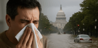 Flooding the System: Cellular Clues, Planetary Purging, and the Theater of Control