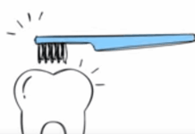 Remineralise Your Teeth: A Guide to Prevent and Reverse Tooth Decay