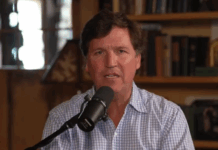 Only a great novelist can understand a story as weird as the Luigi Mangione murder case. Walter Kirn on what actually happened.