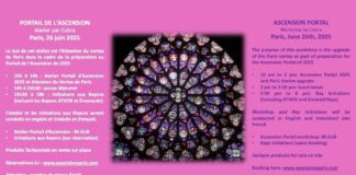 Official Notes : Cobra’s Workshop “Ascension Portal” in Paris (2 versions, June 2025)