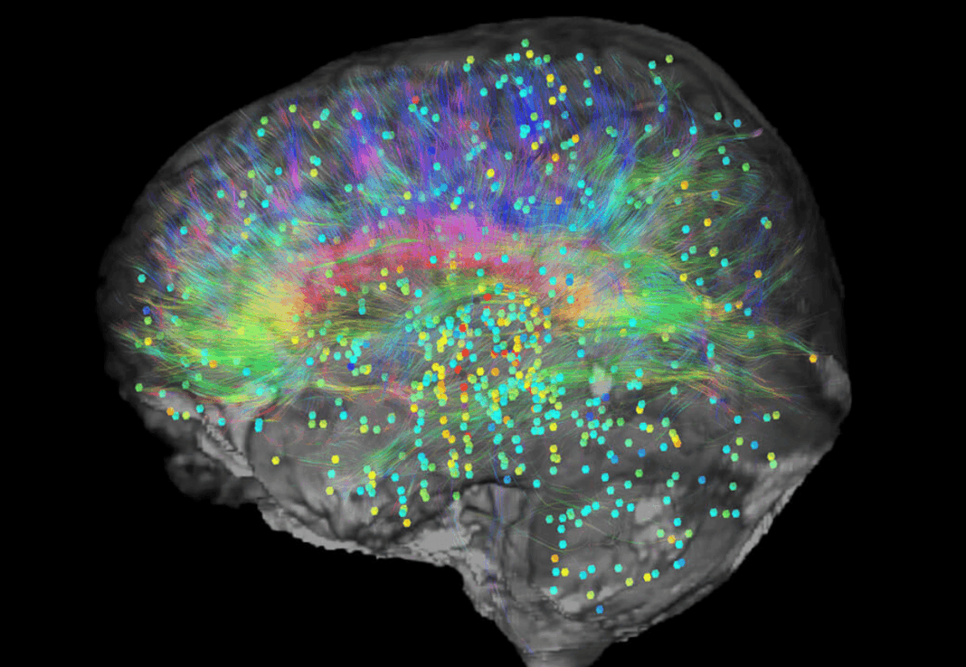 Landmark experiment sheds new light on the origins of consciousness ...