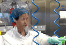 Report: USAID Quietly Sent Thousands of Viruses to the Infamous Wuhan Lab