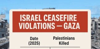 IDF finally admits it bombed its own hostages to death. And of course they did.