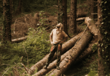 Plantation vs Forest — A Living Vision from Le Rêve de Gaïa