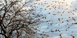 The Times They Are a’Changing