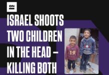 👦👦 Israel and the United States just slaughtered these two sweet boys in Gaza. This is not a ceasefire.