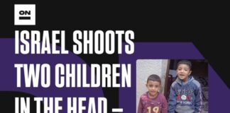 👦👦 Israel and the United States just slaughtered these two sweet boys in Gaza. This is not a ceasefire.