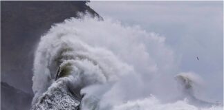 Emotional High Tide: Riding the Wave of Converging Energies