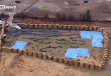 ‘Biosecurity’ terrorists cull entire flock of ostriches that survive disease