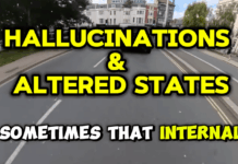 How Your Brain Creates Reality (and How to Reprogram It)