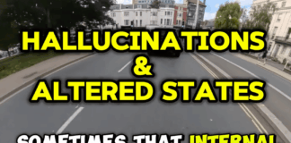 How Your Brain Creates Reality (and How to Reprogram It)