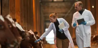 Home News Politics Economy More Cloned ‘Meat’ Secretly Flooding American Food Supply Without Labels