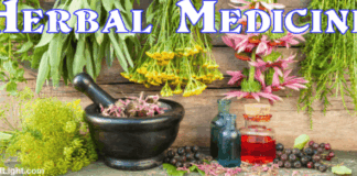 Your Eyes Can Reveal How Fast You’re Aging