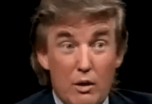 Whitney Webb: Everything Is About To Be Revealed Now That Trump Signed the Epstein Bill!