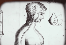 Sacred Secret: This Happens to Your Pineal Gland Every Month