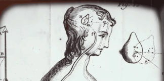 Sacred Secret: This Happens to Your Pineal Gland Every Month