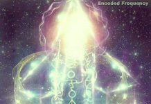 Cobra-26th december 2025-Situation update(“Ascension”Workshop Phoenix USA in January, Interview Cobra/Iruka Japan, “Templars+Ascension” Workshops Notes, Cosmic Heart, Cosmic Angelic Being Aaea, Polar Shift, Trump, Gold/Silver, Cosmic Love energies, Lurker…)