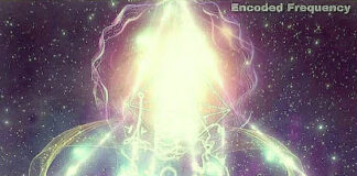 Cobra-26th december 2025-Situation update(“Ascension”Workshop Phoenix USA in January, Interview Cobra/Iruka Japan, “Templars+Ascension” Workshops Notes, Cosmic Heart, Cosmic Angelic Being Aaea, Polar Shift, Trump, Gold/Silver, Cosmic Love energies, Lurker…)